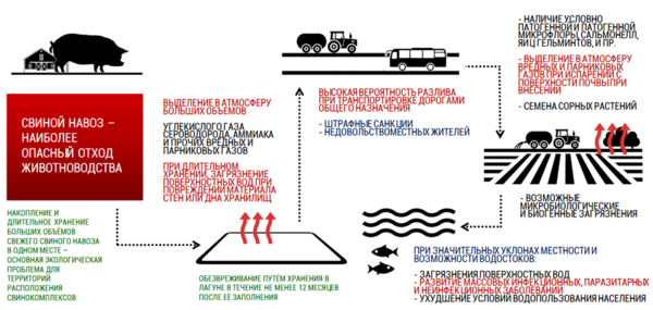 Отрицательное влияние СВК (свиноводческий комплекс)  на окружающую среду